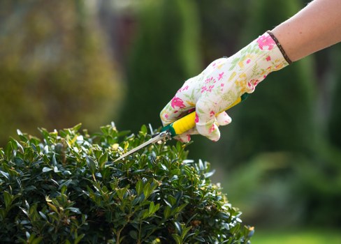 Gardeners in Woodside improving a local garden