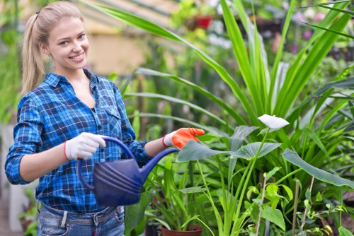 Thoughtful landscape care by Gardeners Woodside