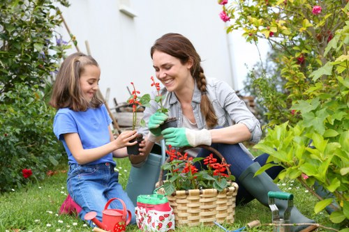 Front yard landscaping in Woodside with plants and walkway