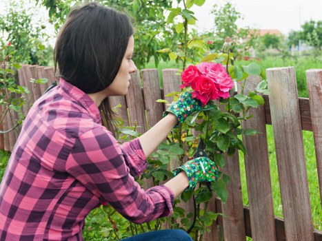 Secure fencing for a Woodside backyard or commercial space