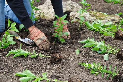 Garden waste pricing for a compact Woodside front garden