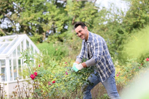 Thick, green lawn in Woodside after seasonal care