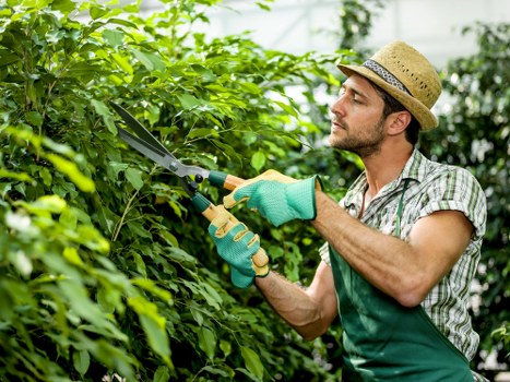 Gardeners Woodside cookie policy summary image