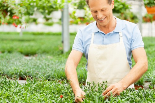 Woodside garden maintenance with healthy borders and lawns