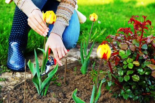 Woodside landscape design with trees, shrubs, and hardscape