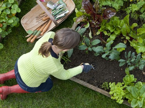 Cancellation and rescheduling terms for gardening work