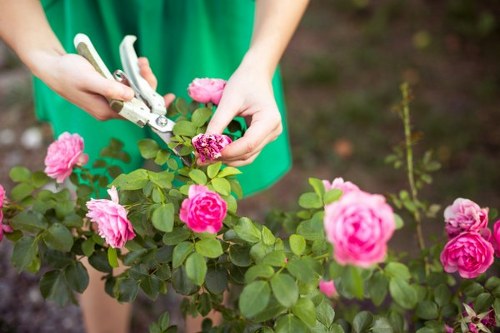 Recycling and sustainability message for Gardeners Woodside