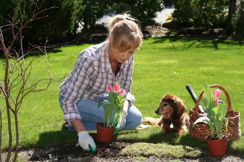 Residential garden upkeep in Woodside with lawns, flowers, and shrubs