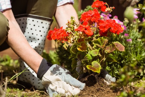 Garden maintenance and planting services in Woodside for tidy outdoor spaces