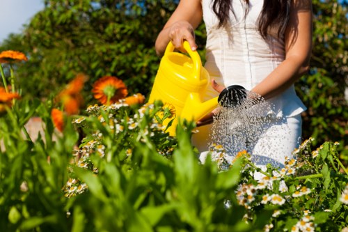 Team member reviewing site risks before garden work