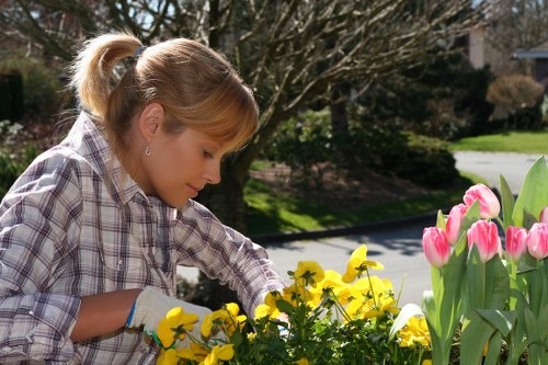 Safe and insured gardening service in Woodside