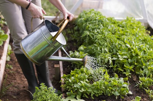 Gardeners Woodside refreshing a tidy outdoor space