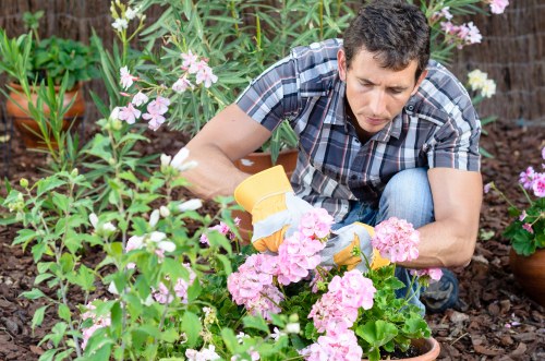 Woodside lawn care showing fertilized turf and healthy grass