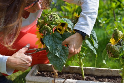 Commercial gardening services in Woodside for polished, well-kept grounds