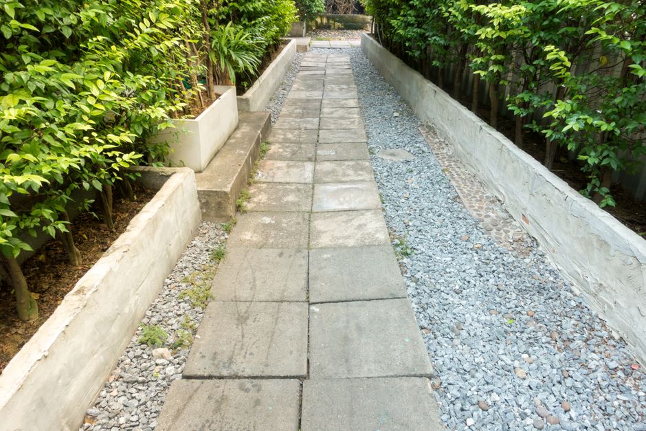 A narrow garden pathway featuring large rectangular paving slabs with a slightly worn appearance, bordered by low concrete-edged garden beds filled with soil and lush, trimmed evergreen hedges on both