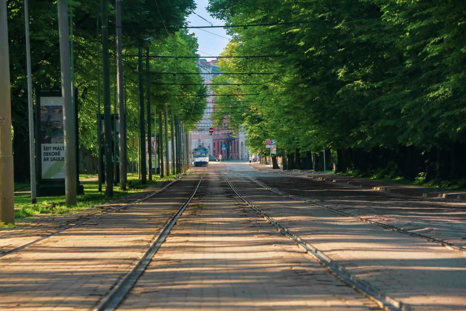 A street view featuring tram tracks running down the middle, flanked by lush, green trees with dense foliage on both sides. The trees cast dappled shadows onto the cobblestone pavement, which appears 