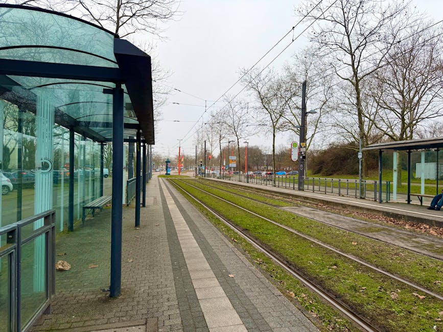 A street view featuring tram tracks running down the middle, flanked by lush, green trees with dense foliage on both sides. The trees cast dappled shadows onto the cobblestone pavement, which appears 